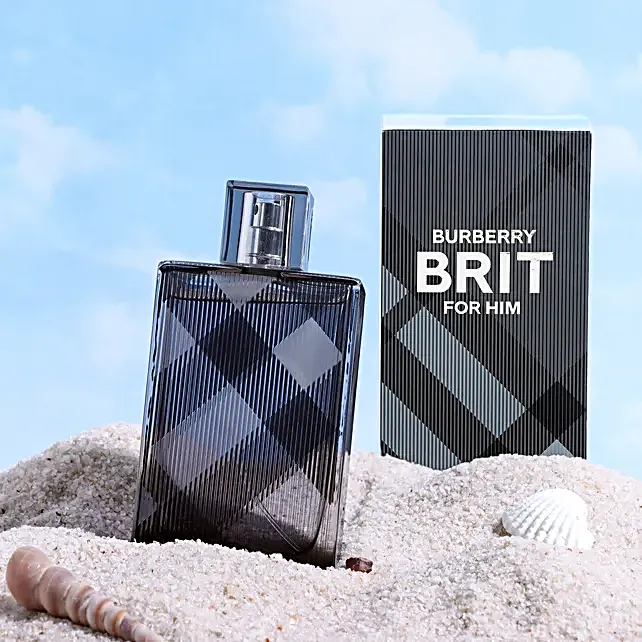 Burberry Brit Men 100ml EDT Spray 1